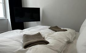 Luxury City Apartment Downtown Vienna